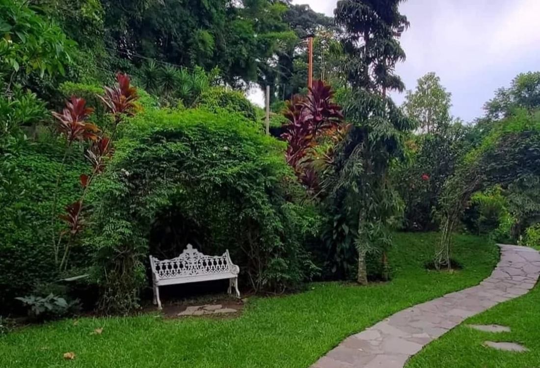 Jardín alrededor de la cabaña en Tu Jardín Secreto